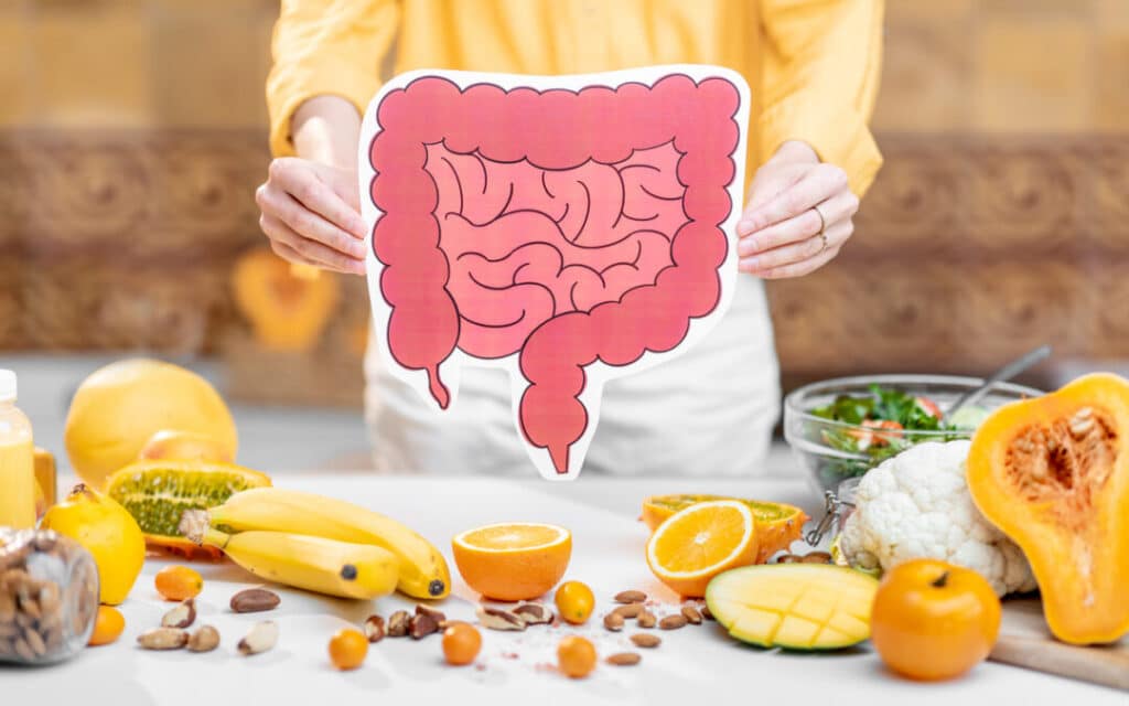 Image of a gut cutout of the gut and vegetables