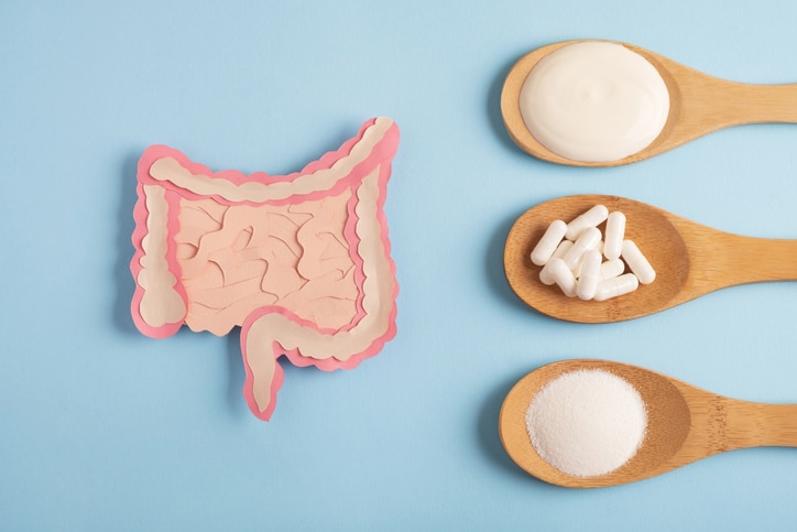 Supplements on a wooden spoon and a cutout of the gut