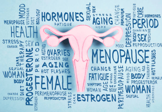 Women’s shift from perimenopause to menopause