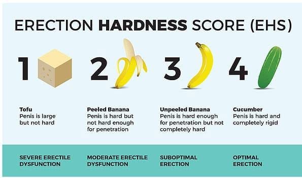 Erection Hardness Score (EHS): 1 Tofu (severe), 2 Peeled Banana (moderate), 3 Unpeeled Banana (suboptimal), 4 Cucumber (optimal erection)